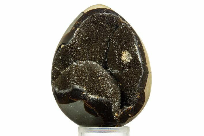 Septarian Dragon Egg Geode - Sparkly Black Crystals #344437
